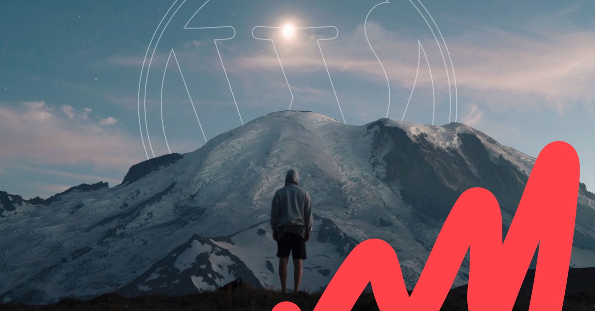 Should big companies use the WordPress plugin repository? Human Made