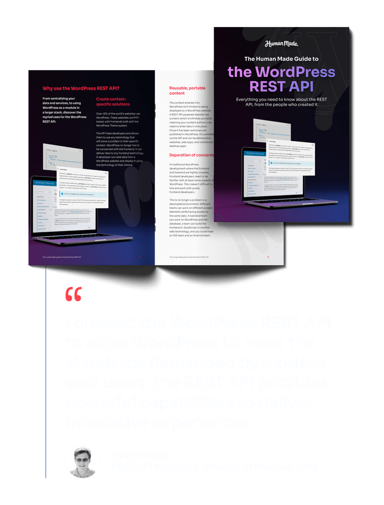 WordPress REST API guide cover