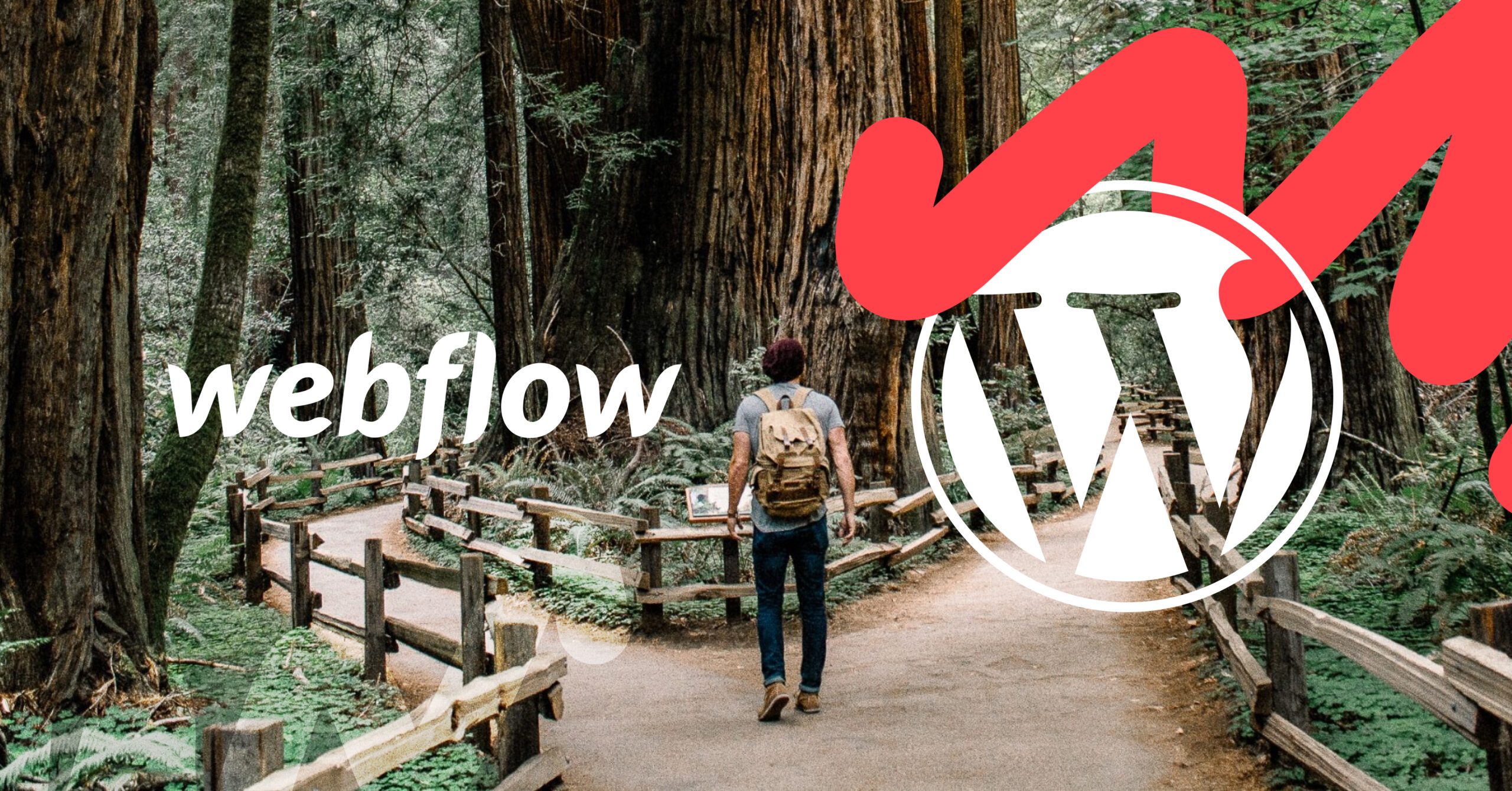 A man at a crossroads in a forest overlaid with Webflow and WordPress logos - he is deciding which path to take