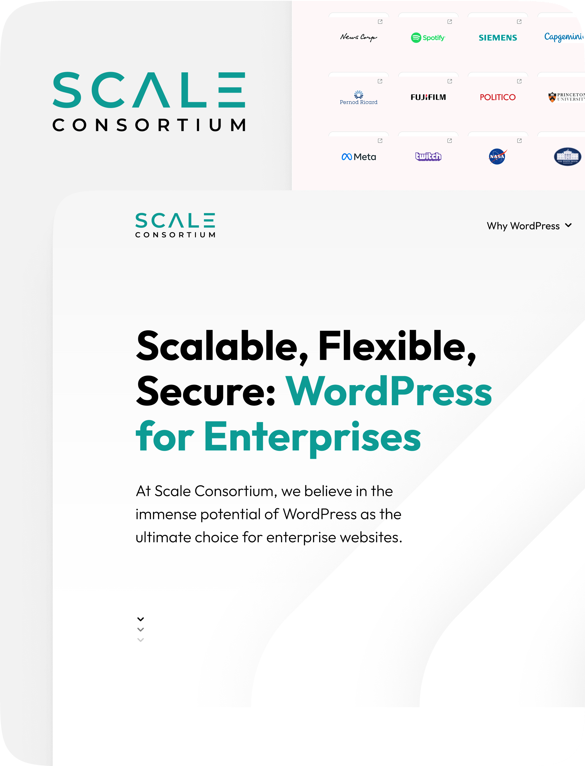 screen grab of the scale consortium website