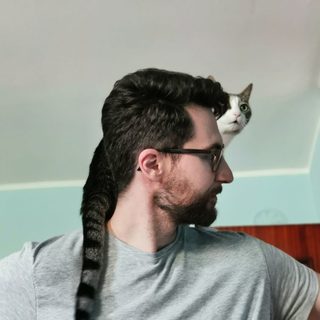 Vojislav Vlasic's profile image