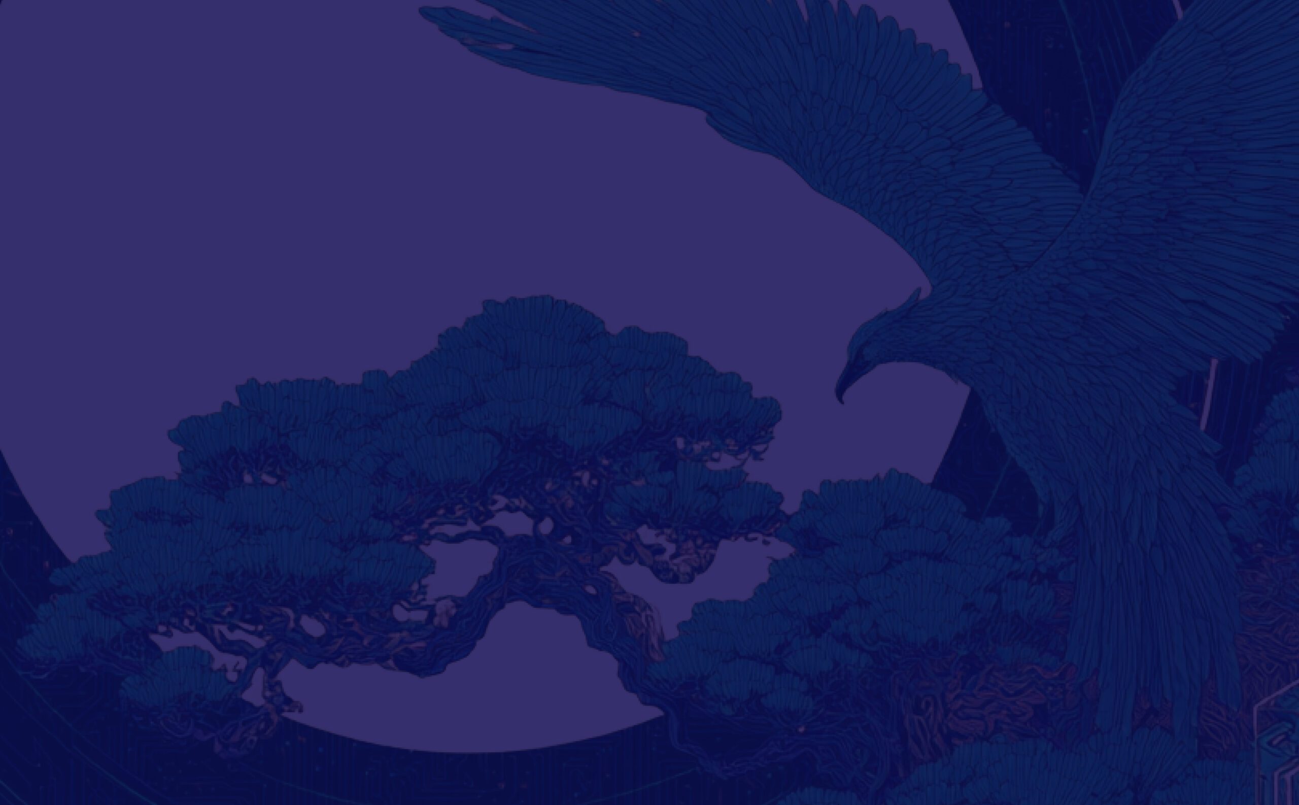 Outdoors, Nature, Night