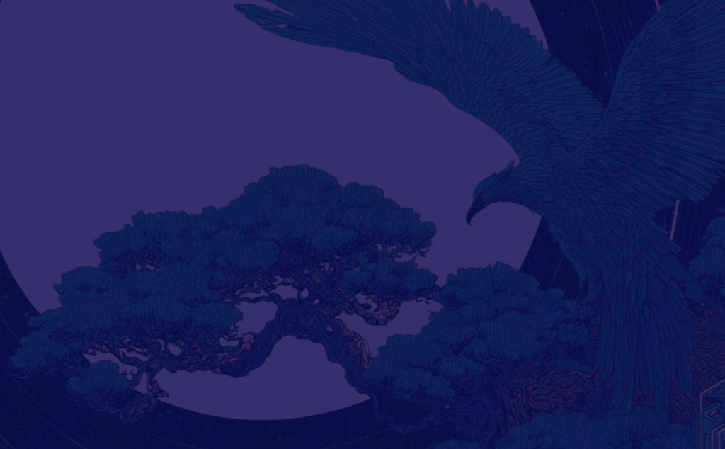 Outdoors, Nature, Night