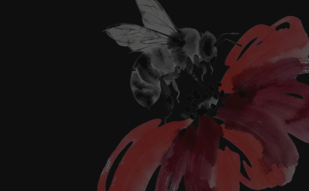 Animal, Bee, Insect