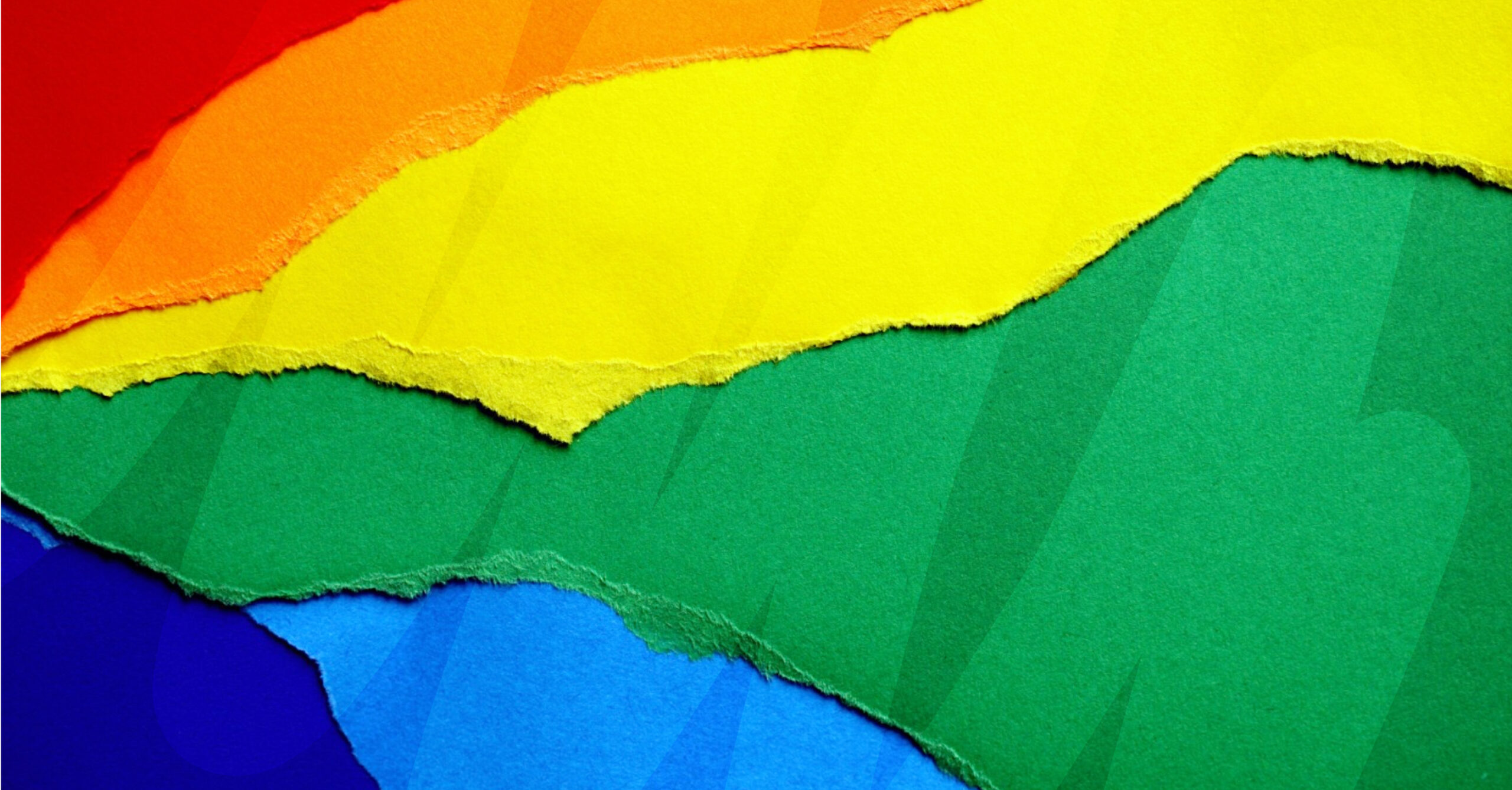 Understanding microaggressions: building inclusive workplaces on IDAHOBIT