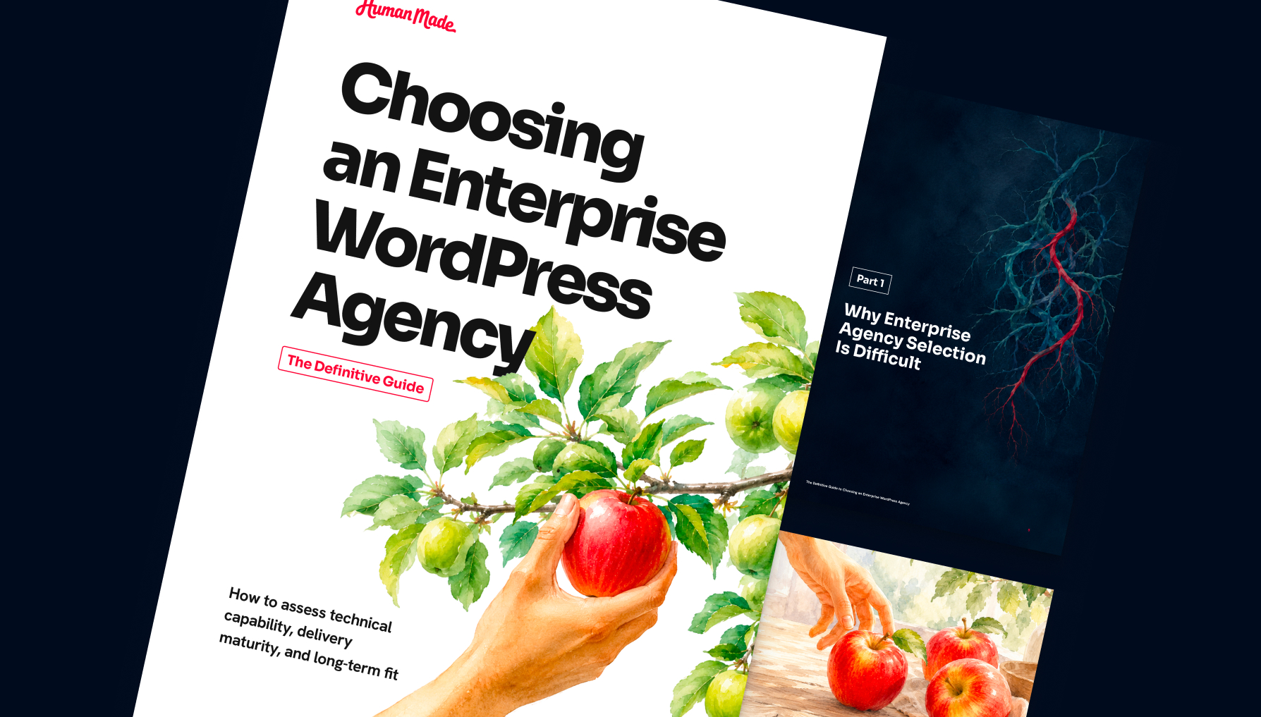 The Definitive Guide to Choosing an Enterprise WordPress Agency