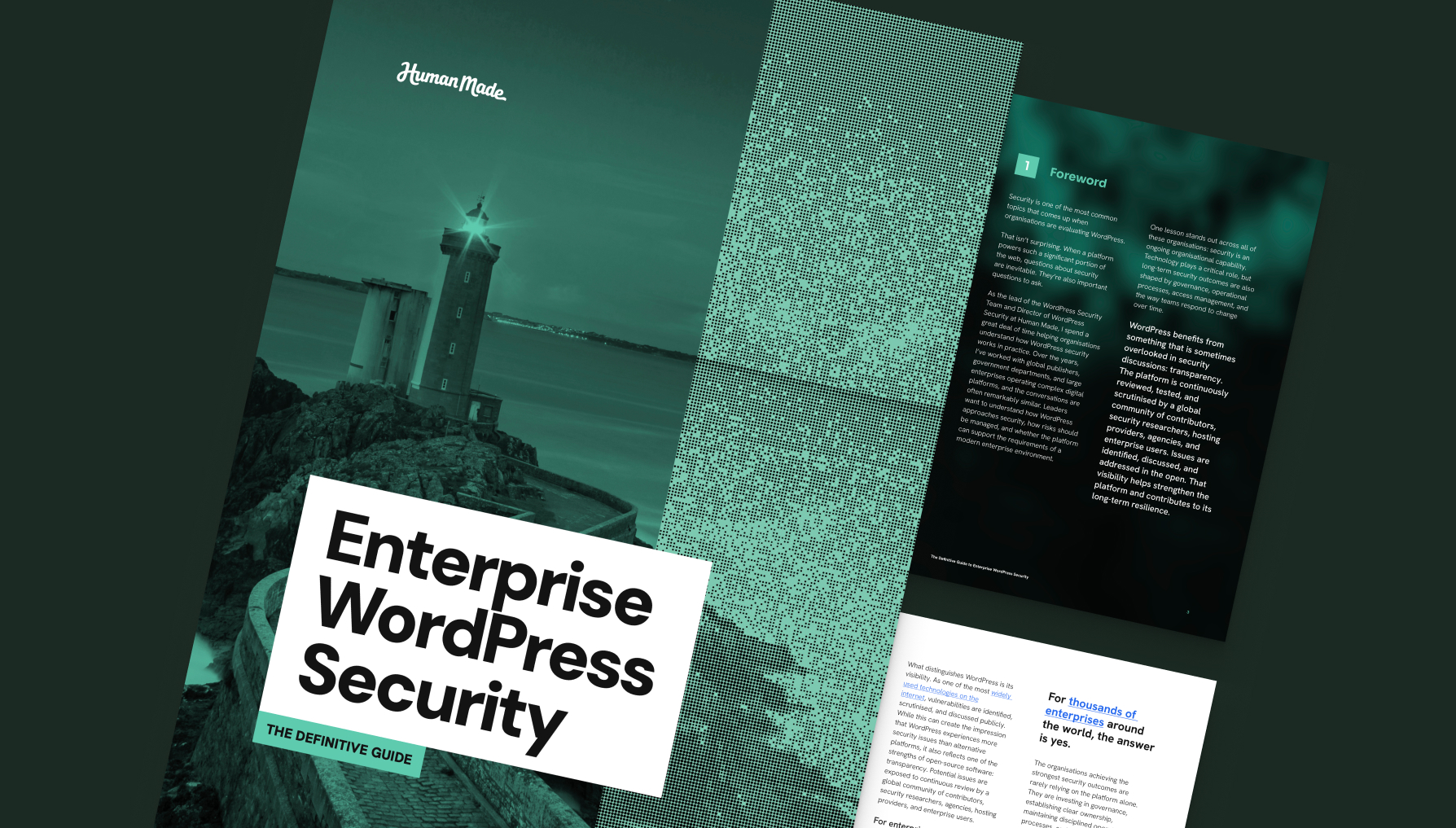 The Definitive Guide to Enterprise WordPress Security