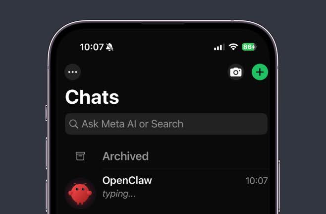 OpenClaw + WordPress: what actually happens
